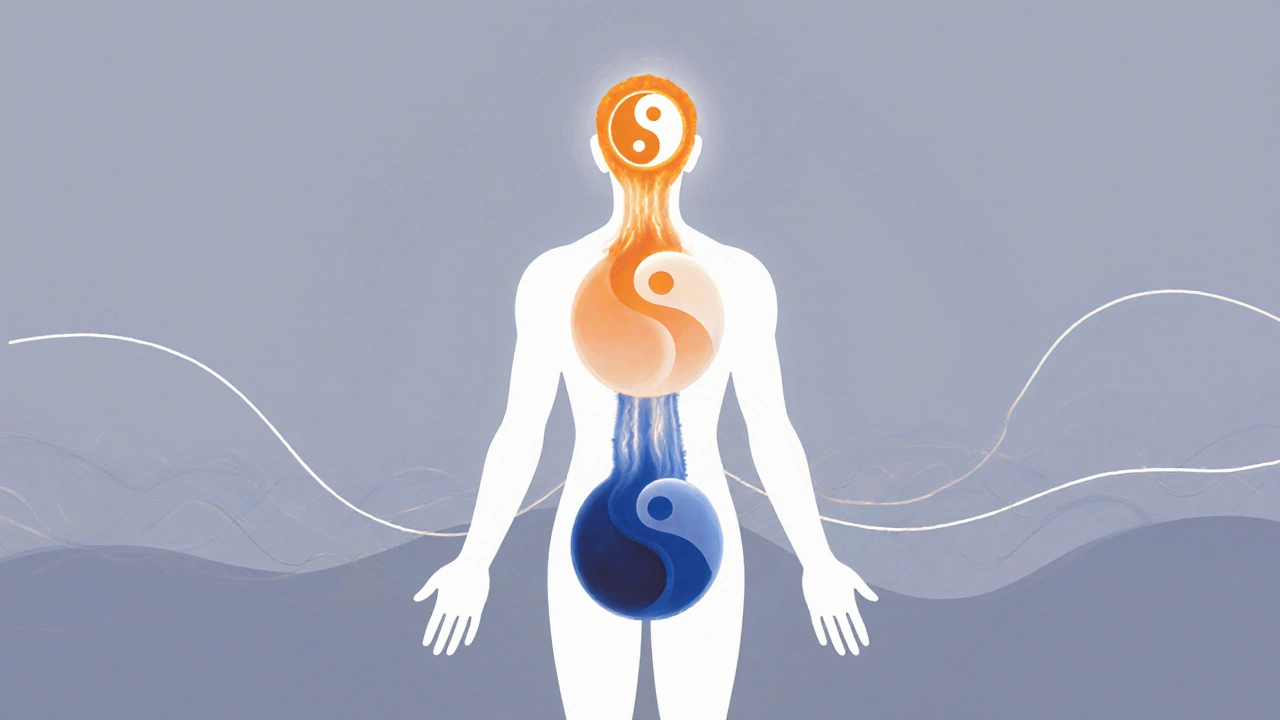 A transparent human figure with glowing energy streams flowing from head to toe, representing yin, yang, and neutral polarity.