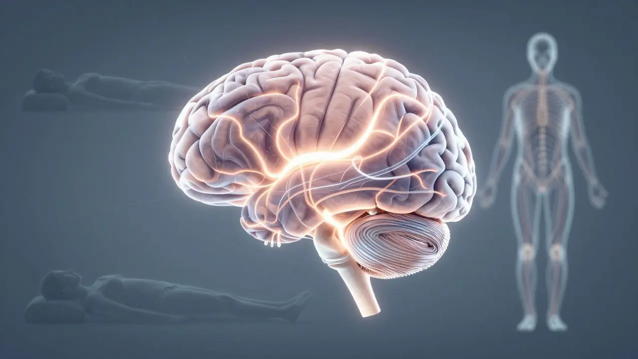 A glowing brain with enhanced neural pathways, symbolizing improved movement awareness.